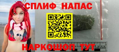 СК Ставрополь