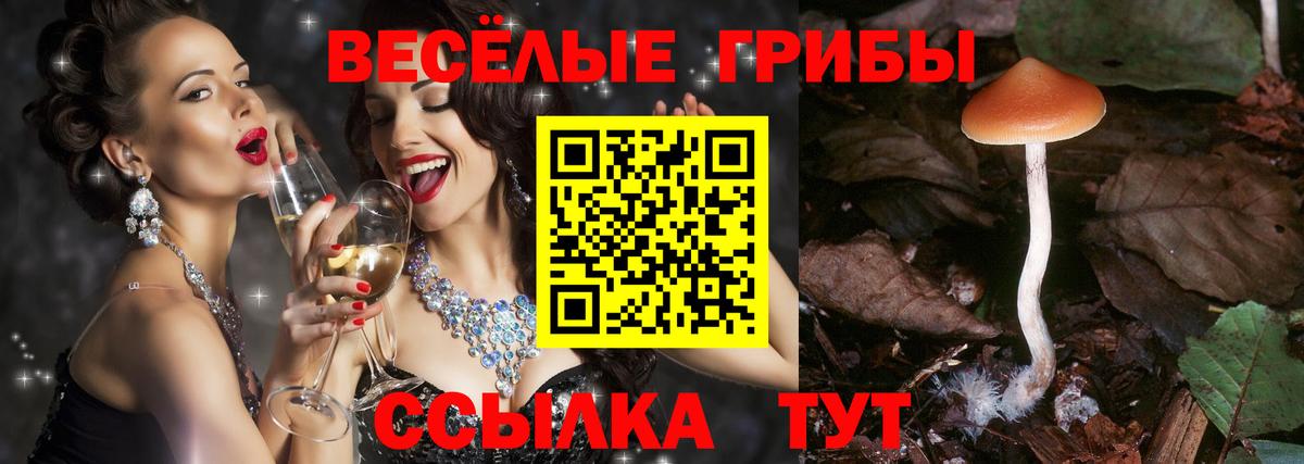 Галлюциногенные грибы MAGIC MUSHROOMS Орехово-Зуево